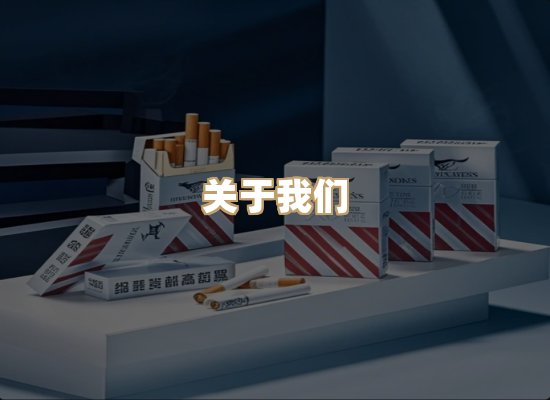 关于金鹤网